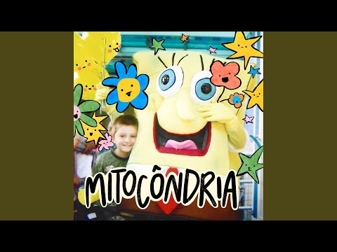 Fotos De Uma Árvore Que Não Parece Bem (árvores Se Fudendo) - Mitocôndria