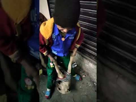 dog and boy shivali.. 🥰