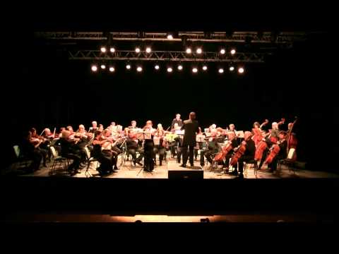 Fantasie pastorale hongroise par l'Orchestre Philharmonique du Pays de Fontainebleau