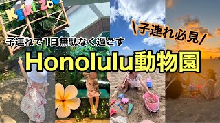 【子連れハワイ】ホノルル動物園〜ワイキキ中心の日の過ごし方🌺水の価格に驚愕！ワイキキ徒歩圏内のサンセットスポット🌞