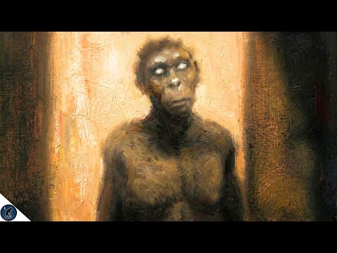 The Mystery of Homo Naledi