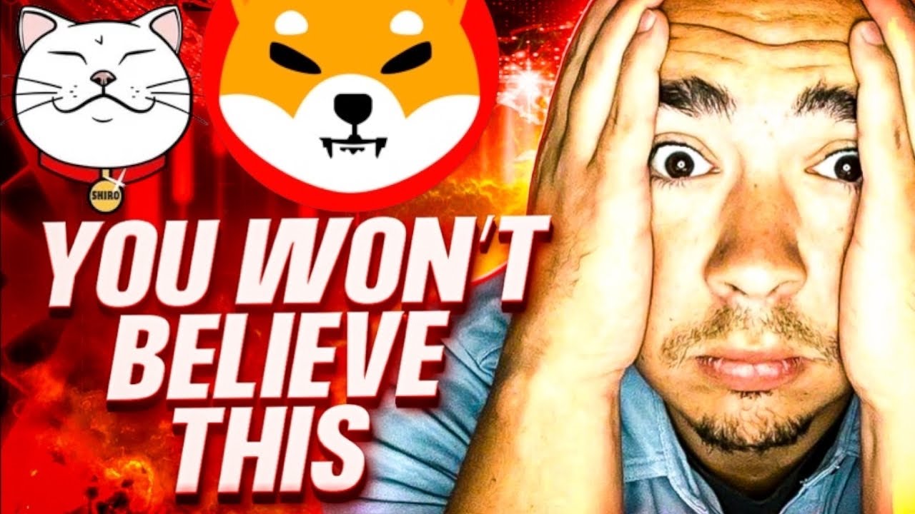 Exploring Shiro Neko The New Meme Coin In The Shiba Inu Ecosystem