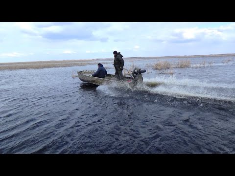 Монстры болотоходы, по камышам и меляку.