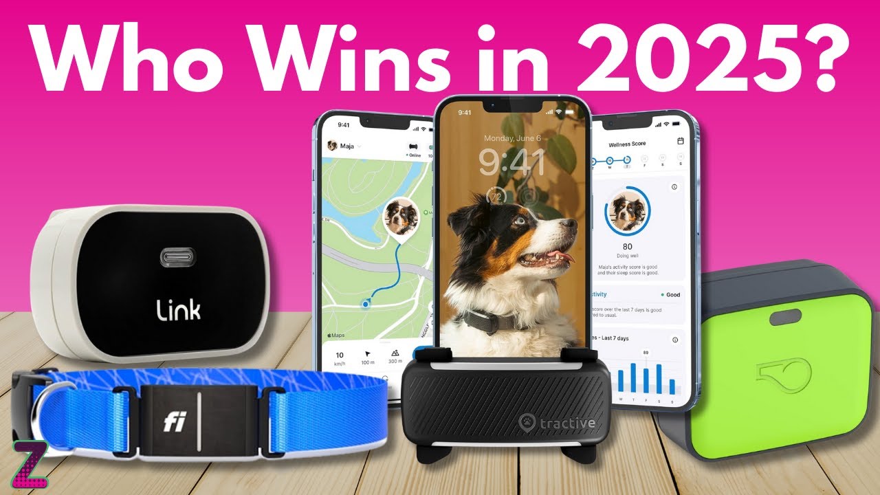 ✅😍Top 5 Best Dog GPS Trackers [ 2026 Buyer's Guide ]