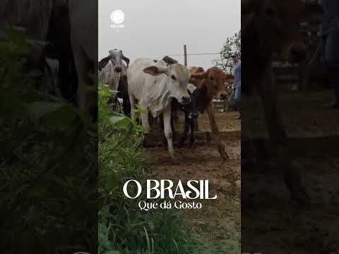 Neste domingo, às 10h, Paula Varejão embarca em uma aventura por Alagoa e Aiuruoca (MG) 🧀🌿