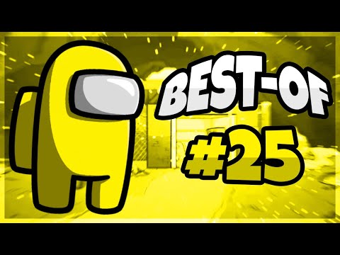 Best-Of Dingus #25 (Among Us)