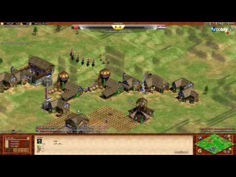 DauT Cup - Quarter-Final | Yo vs DauT