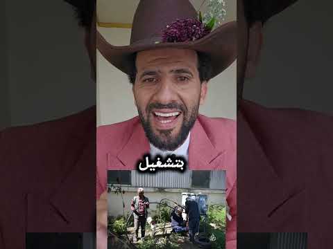 نائف الوافي