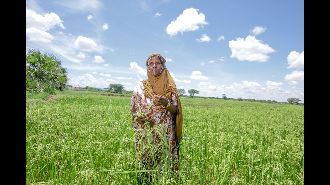 How Climate Smart Farming is Helping Communities Fight Hunger and Malnutrition in Garissa