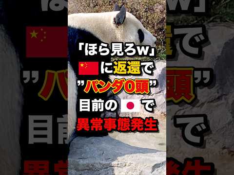｢ほら見ろw｣🇨🇳に返還で“パンダ0頭”目前の🇯🇵で異常事態発生　#海外の反応
