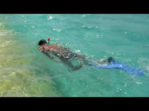 Elcorock coastal erosion shoreline protection