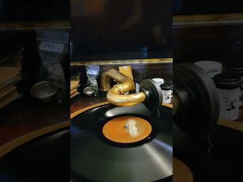 Sleepy Time Gal - Manhattan Dance Makers (California Ramblers) Silvertone Records #3227 1925