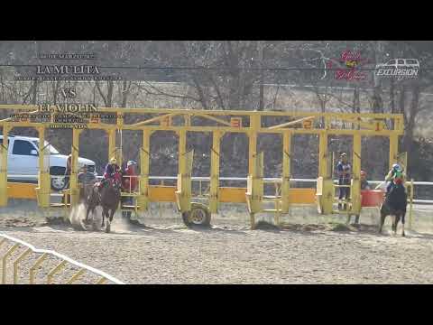 La Mulita vs El Violin 300/350 YDS | Carril El Gringo