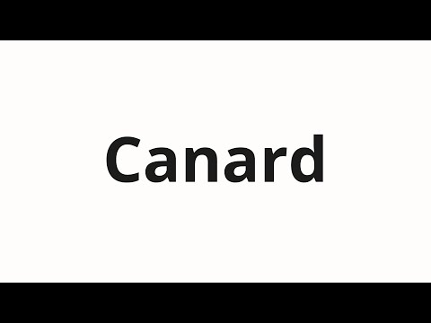 How to pronounce Canard
