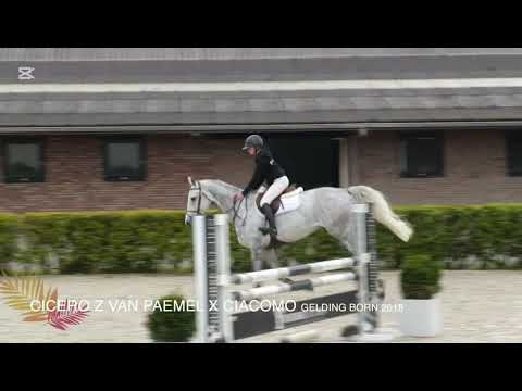 Concorde 76 video 3