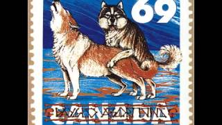 Dayglo Abortions - Courage In A Can