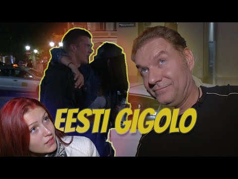 EESTI AINUS GIGOLO