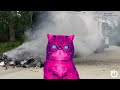 HypnoCat Never Bin Hidden Batteries