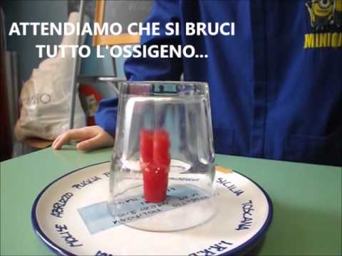 Come disinfettare il pesce da tutti i parassiti Helminths in un intestino di obodochny