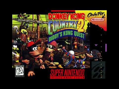 Donkey Kong Country 2 - Forest Interlude - Best VGM 71