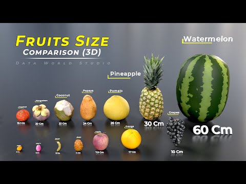Fruit size comparison | 🍍🍎🍓🍇 | Fruits name | Size comparison | fruit | world data