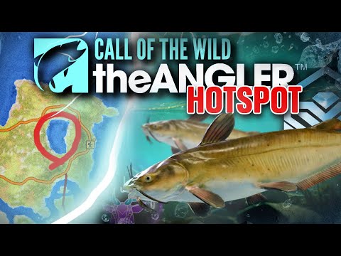 The DIAMOND Guide For Channel Catfish, EVERYTHING You Need To Know! | Call of the wild the angler.