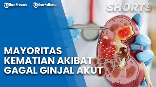 Juru Bicara Kemenkes Syahril Ungkapkan Mayoritas Kematian akibat Gangguan Ginjal Akut pada Anak