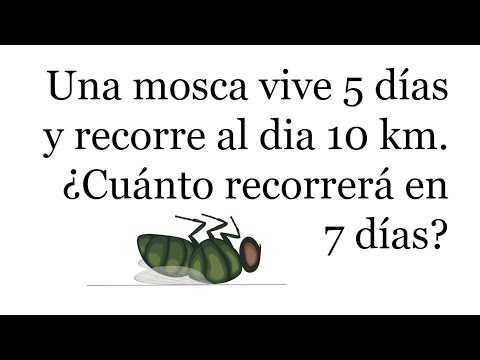 RAZONAMIENTO MATEMÁTICO. Dos Problemas