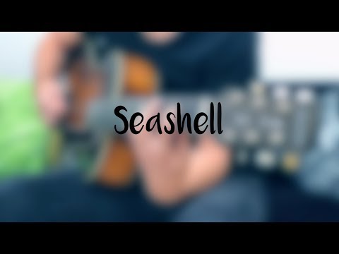 Their Dogs Were Astronauts - Seashell // Acoustic Version (2017)