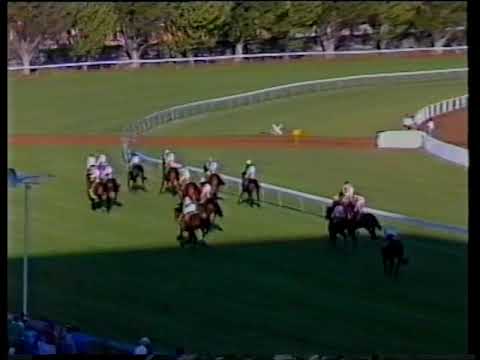 1986 Flight Stakes