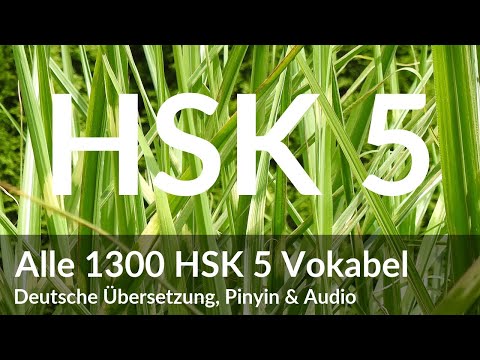 HSK 5 Vokabelliste mit Pinyin, deutscher Übersetzung & Audio