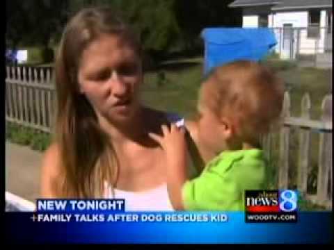 Mom  Dog saved baby son from drowning   YouTube