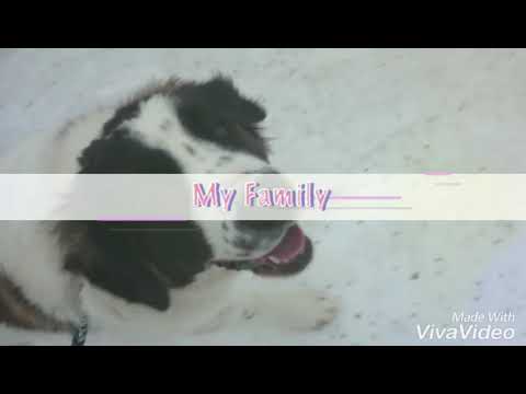 Zakia...taký kľudný deň...