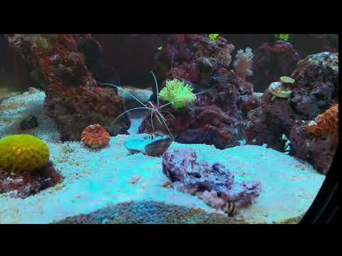 Everyone loves clams