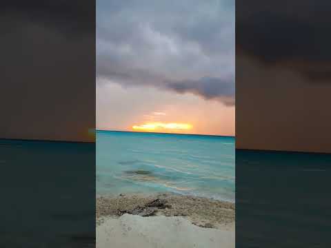 Aggressive Nature Maldives 😮😮#maldives #shorts