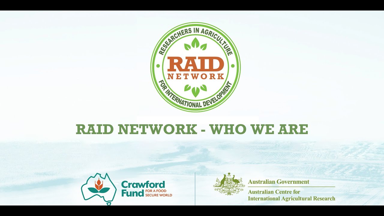 RAID Network - WHO WE ARE