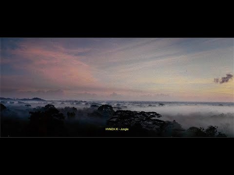 HVMZA XI - Jungle
