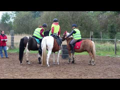 16.10.2016 - Platzaufgabe - Orientierungsritt Christinendorf