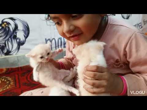 Suzzi in masttii moud