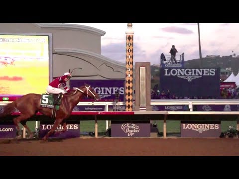 2017 Breeders' Cup Highlights