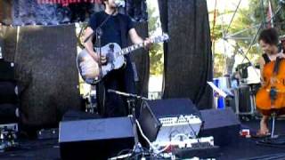 Live Le Luci Della Centrale Elettrica - La Lotta Armata Al Bar - live Italia wave love festival