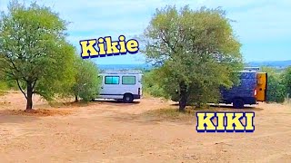 WE THOUGHT SO BUT NO!!! #nomad #nomade #animals #truck