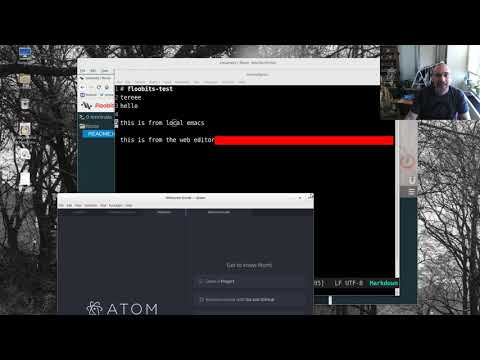 Using Emacs 69 - Floobits