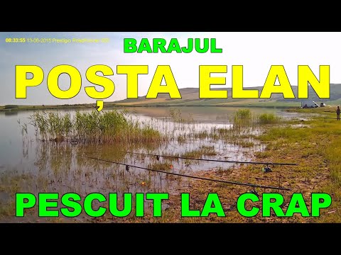 Pescuit la CRAP baraj Posta Elan Vaslui ( fishing pond )