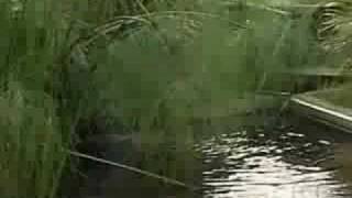 Certificação ISO 14001