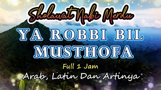 Download lagu YA ROBBI BIL MUSTHOFA BALIGH MAQO SIDANA | Sholawat Penyejuk Hati Penenang Pikiran mp3 Download lagu YA ROBBI BIL MUSTHOFA BALIGH MAQO SIDANA | Sholawat Penyejuk Hati Penenang Pikiran mp3