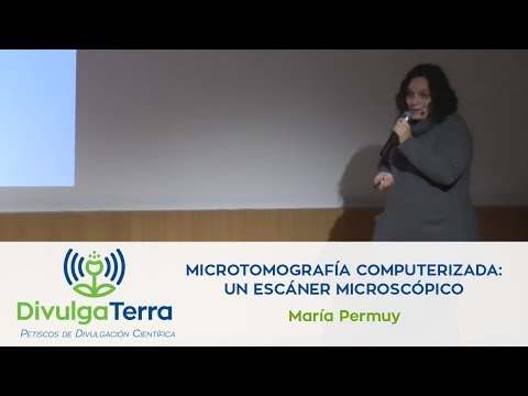 Vídeo: Microtomografía computerizada: un escáner microscópico