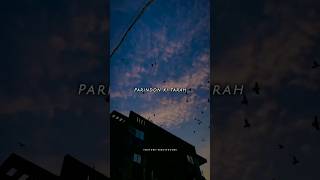 Download lagu Parindo Ki Tarah Ye Dil Hai Safar Main 🙈🥺 Baarish By Atif Aslam 💫🦋 #love #trending #short #shorts mp3