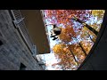 Waterloo University Parkour (Short Action Film)