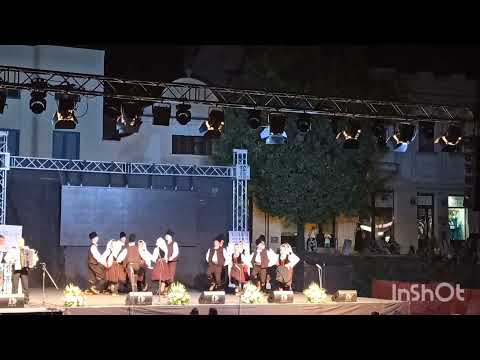 Vlogmas 7/21 |Uspomene sa Srem folk fest-a